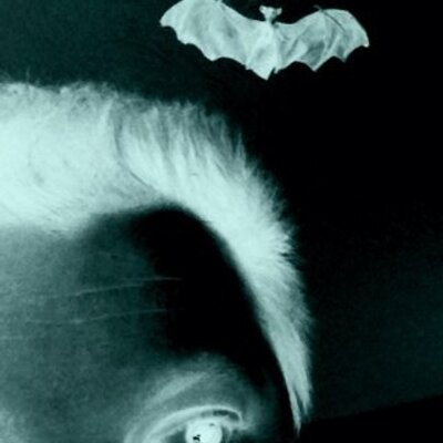 Profile Picture of Christopher Joslyn (@c_joz) on Twitter