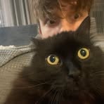 Jan Puławski - Facebook Profile Picture of Jan Puławski (@Jan-Puławski) on Facebook