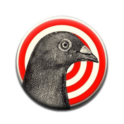 Profile Picture of PIDGE (@StevePigeon5) on Twitter