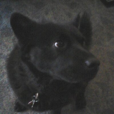 Profile Picture of Joseph (@JoeyBabylon) on Twitter
