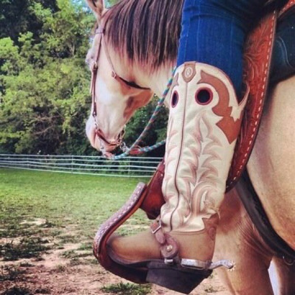 Profile Picture of Mackenzie Carraher (@imthathorsegirl) on Poshmark