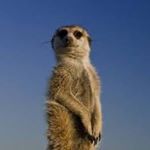 Profile Picture of John Wernsdorfer (@johnwernsdorfer) on Instagram