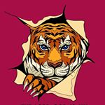 Profile Picture of blake hayden hart (@blakehayd) on Instagram