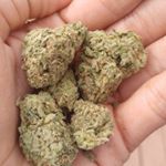 Profile Picture of Kevin Prince (@jameshodson420) on Instagram