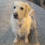 Profile Picture of Andrew Dolbow (@andrew.dolbow.9) on Facebook