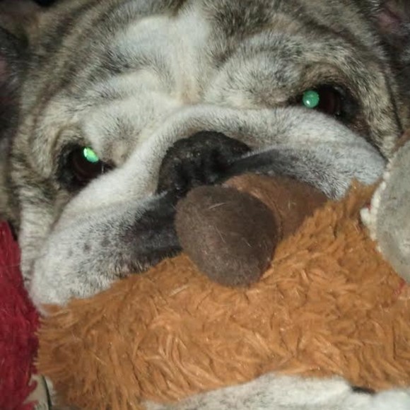 Profile Picture of Barbara c Kempley (@blueovalgal) on Poshmark