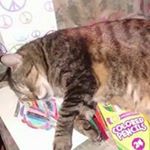 Profile Picture of Edy Juanita Lopez-Crowley (@lopezcrowley) on Instagram