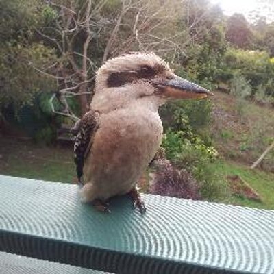 Profile Picture of Bernard Venables (@mt_pates) on Twitter