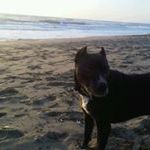 Profile Picture of Mark Thorley (@markt1228) on Pinterest