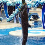 Profile Picture of Charles Roche (@charlesrochet) on Instagram