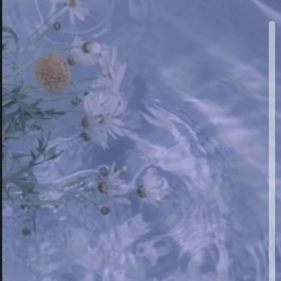 Rylee Harver - Poshmark Profile Picture of Rylee Harver (@ry284) on Poshmark