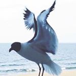 Profile Picture of Paul Markgraf (@markgrafpaul) on Instagram