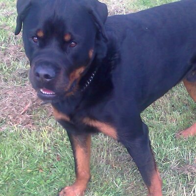 Profile Picture of Margaret Roberts (@margaret2280) on Twitter