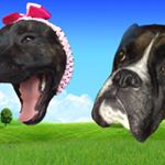 Profile Picture of Mitchell And Lilly (@mitchy.and.lilly) on Instagram