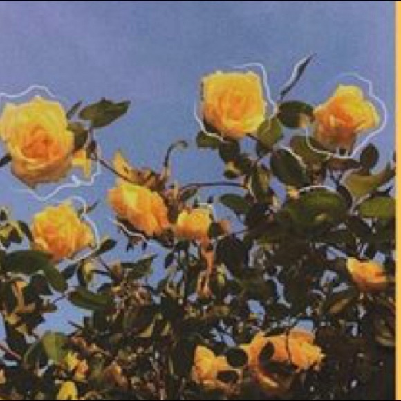 Profile Picture of Madison Pelfrey (@madipelfrey) on Poshmark