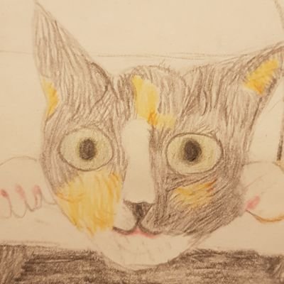 Profile Picture of Rene Hoeijenbos (@RHoeijenbos) on Twitter