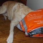 Brian Shiers - Instagram Profile Picture of Brian Shiers (@shiersbrian) on Instagram