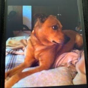 Profile Picture of Scott Dinkel (@scott.dinkel) on Tiktok
