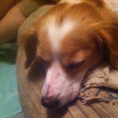Profile Picture of Carl Antill (@dodge2fan) on Twitter