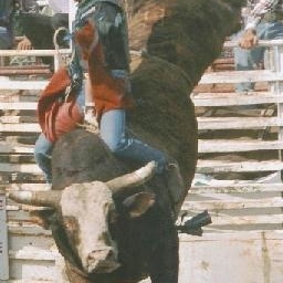 Profile Picture of Daniel Gilman (@cwbydan) on Myspace
