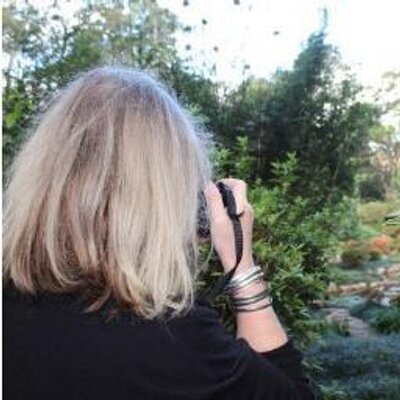 Profile Picture of Lorraine Mathews (@justsittin_here) on Twitter