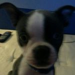 Profile Picture of braxton patrick (@braxtonjakepatrick) on Instagram