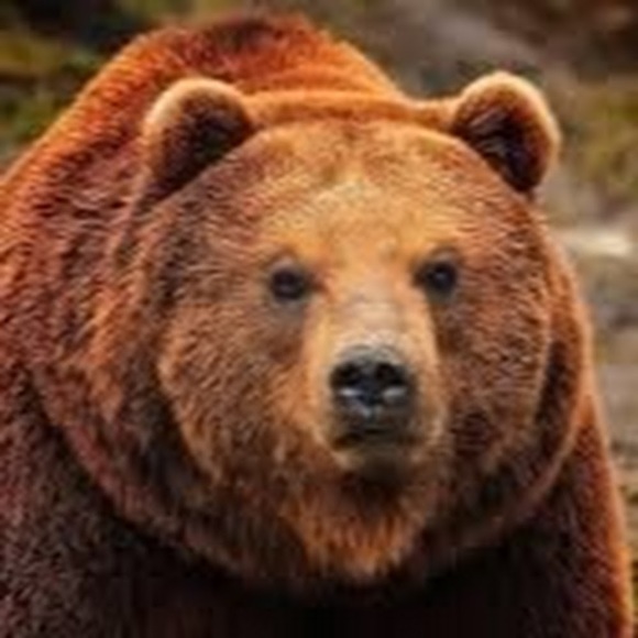 Profile Picture of Tony Stark (@ironmanmk29) on Poshmark