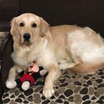 Profile Picture of Aruna Shankar (@ariana24g) on Instagram