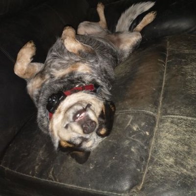 Profile Picture of Kyle Conover (@conover_kyle) on Twitter