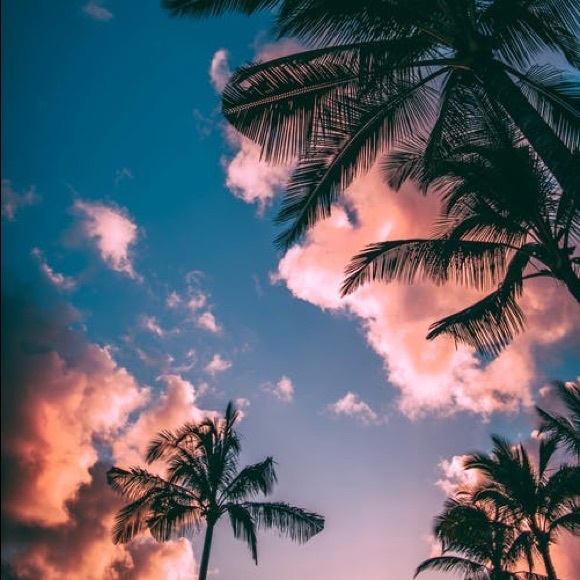 Profile Picture of Landon Lembeck (@landonlembeck) on Poshmark