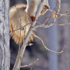 Profile Picture of Scurlock Jacobson (@scurlockjacobson) on Pinterest