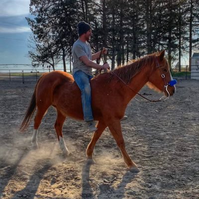 Profile Picture of Brandon Wurzer (@BrandonWurzer) on Twitter