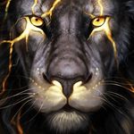Profile Picture of Paul Delisle (@chefpaul55) on Instagram