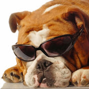 Profile Picture of Joyce Walls (@mickey21613) on Youtube