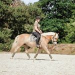 Profile Picture of Steevy & Jasmin (@haflinger.steevy) on Instagram