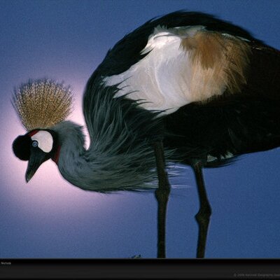 Profile Picture of Victor (@Victor_Watch) on Twitter