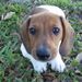 Profile Picture of Steven Mcbride (@stevenmcbride922) on Pinterest