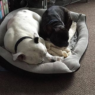 Matt Yelland - Facebook Profile Picture of Matt Yelland (@matt.yelland.75) on Facebook