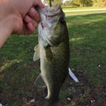 Profile Picture of Andrew Hilpert (@andrew.hilpert719) on Instagram