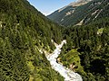 Profile Picture of Navizenceon Wikipedia