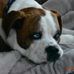 Profile Picture of Doug Evans (@doug.evans.568294) on Facebook