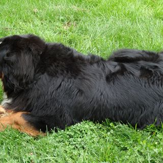 Profile Picture of Ginny Montgomery (@ginny.montgomery.33) on Facebook