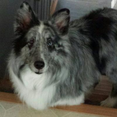 Paul Withey - Twitter Profile Picture of Paul Withey (@paul_w01) on Twitter