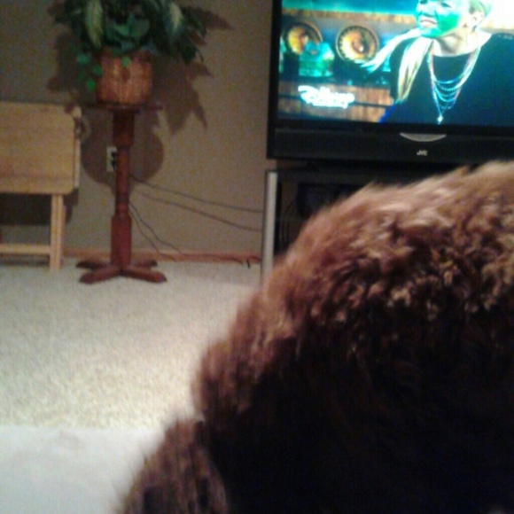 Profile Picture of Staci Sniezek (@ssniezek) on Poshmark