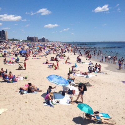 Profile Picture of Peter J. Olivia (@peterjolivia) on Twitter