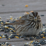 Profile Picture of Kelley Scott (@KelleyRScott) on Flickr