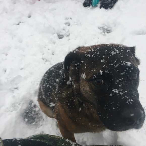 Bryan Stitt - Poshmark Profile Picture of Bryan Stitt (@bds230) on Poshmark