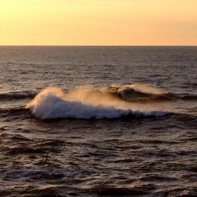 Profile Picture of Paul Matus (@andylovesjuli) on Twitter