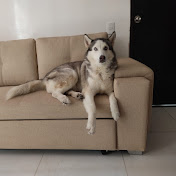 Profile Picture of Bobby Schumann  (@rocarang) on Youtube