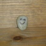 Profile Picture of Felix Arriaga (@felix_tha_rock) on Instagram